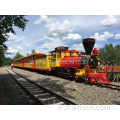 Belle forêt voyageant par train de piste